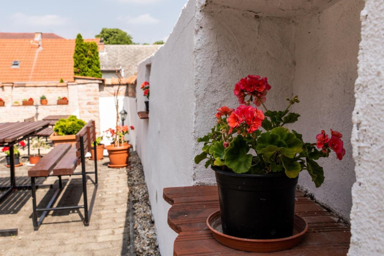 Fenyes Vinorium Bed and Breakfast Sopron Eksteriør billede