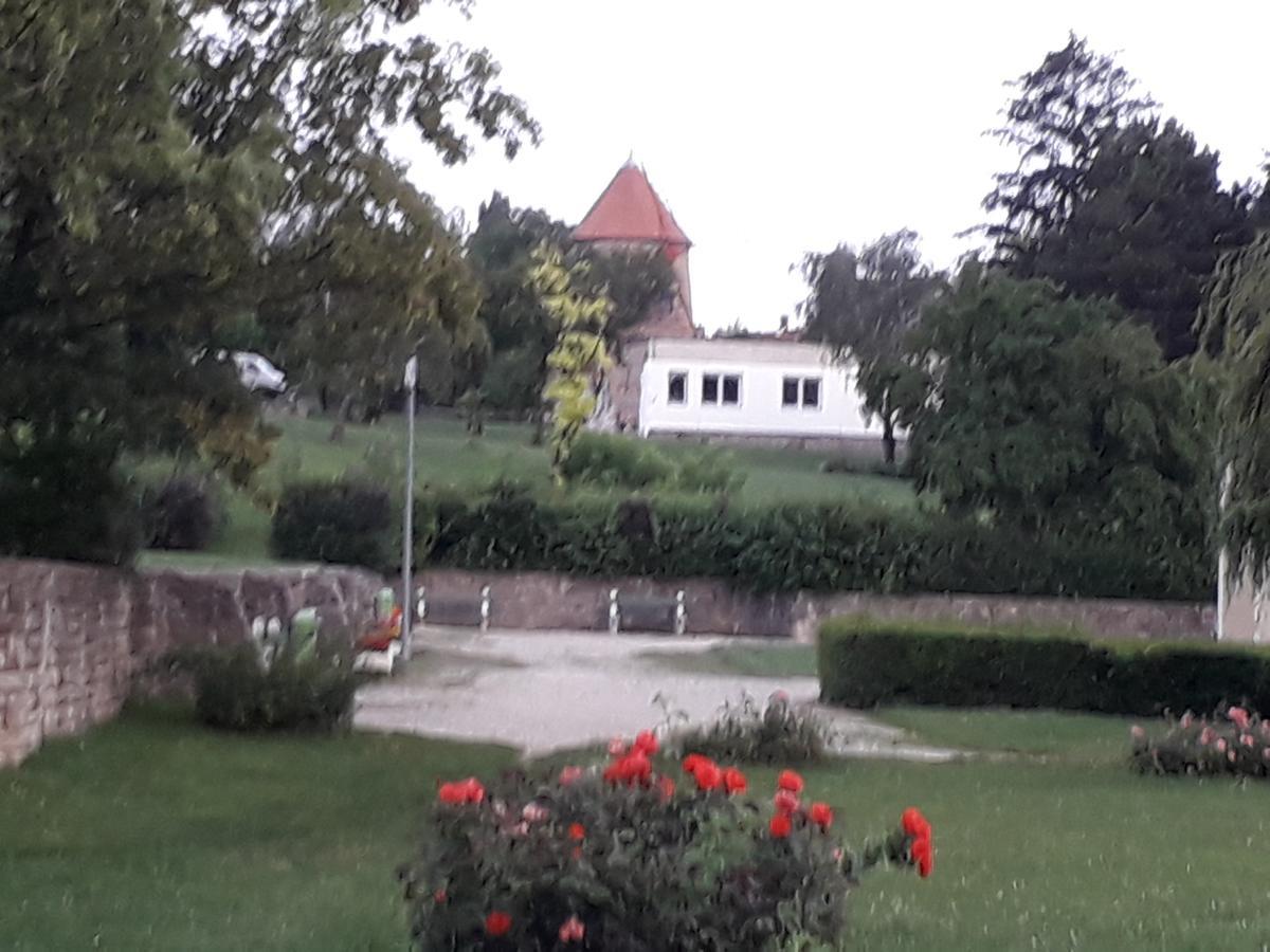 Fenyes Vinorium Bed and Breakfast Sopron Eksteriør billede
